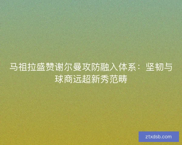 马祖拉盛赞谢尔曼攻防融入体系：坚韧与球商远超新秀范畴