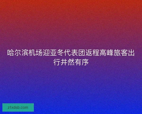哈尔滨机场迎亚冬代表团返程高峰旅客出行井然有序